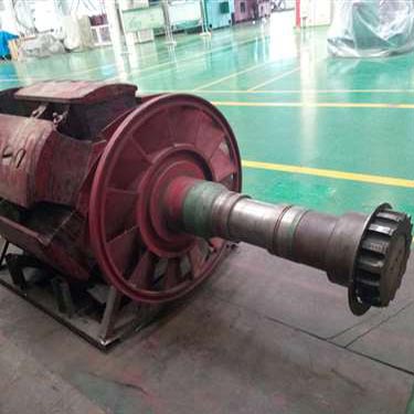 北京某變頻柜廠家試驗(yàn)用電機(jī)T3200、1730-10KV轉(zhuǎn)子磁極線圈修復(fù)